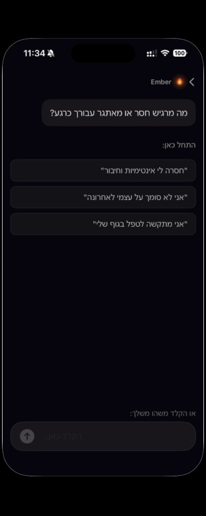 שיחת עוגן - פתיחה