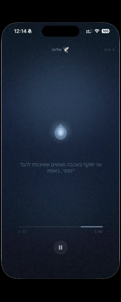 בתוך תרגול