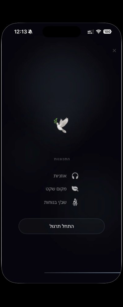 מסך הכנה